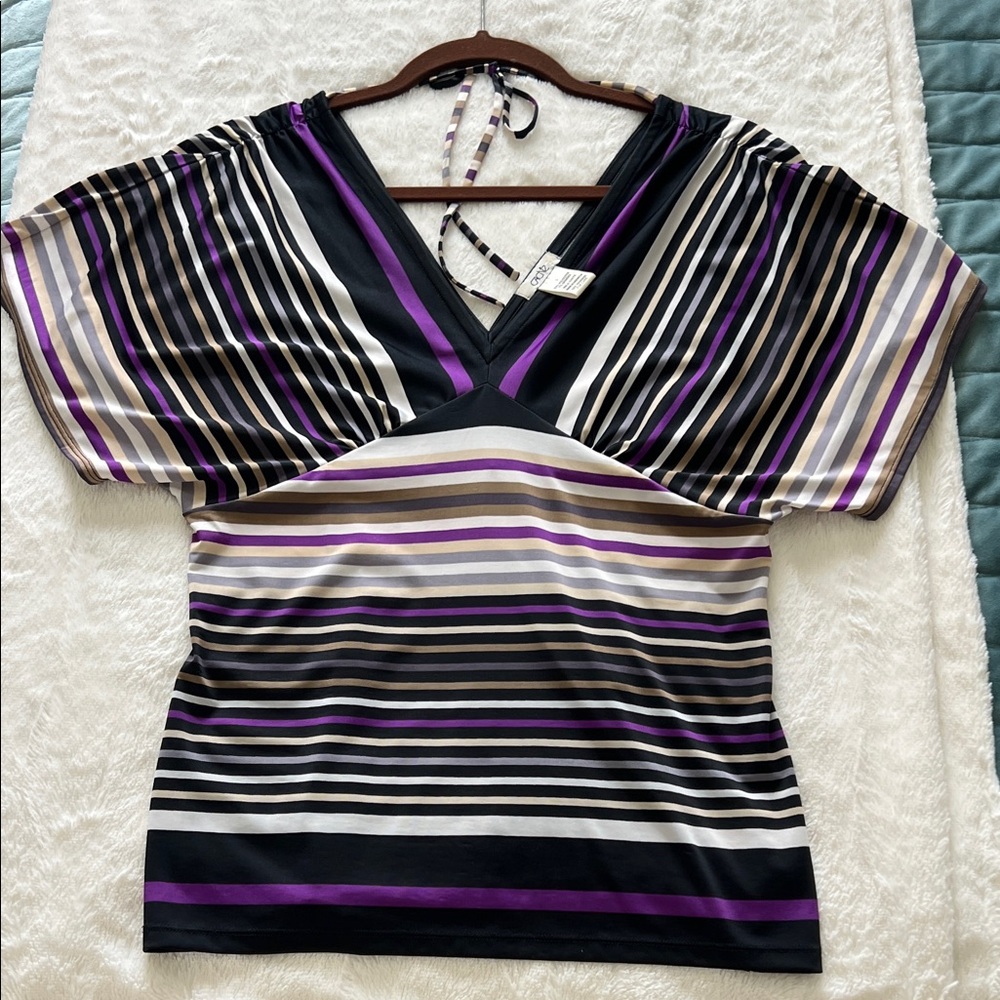 Cache Multicolor Striped V-Neck Blouse